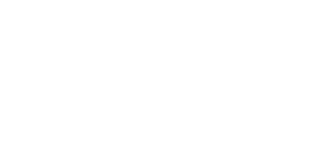 developer